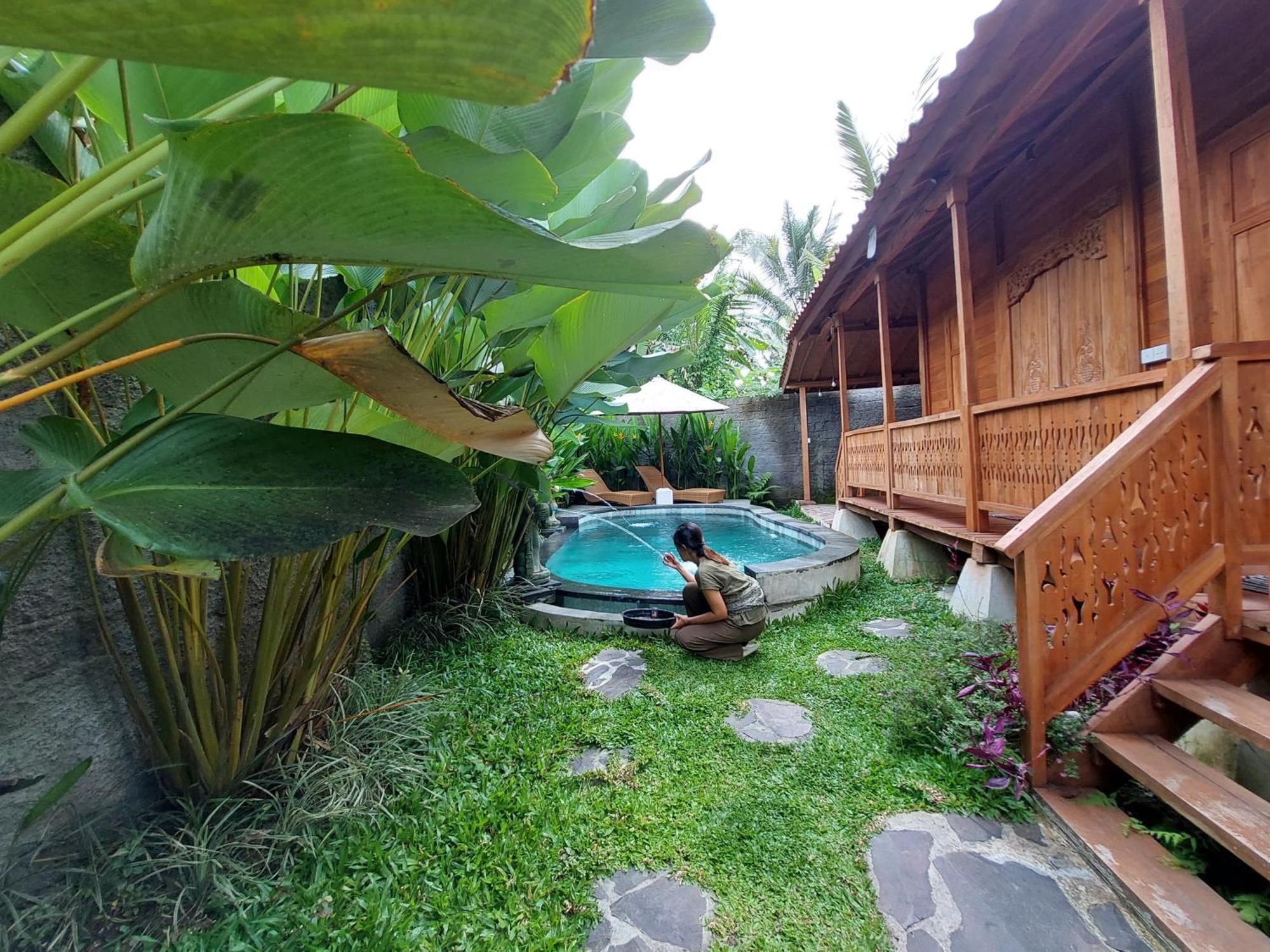 D'Ethnic Ubud Villa אובוד מראה חיצוני תמונה
